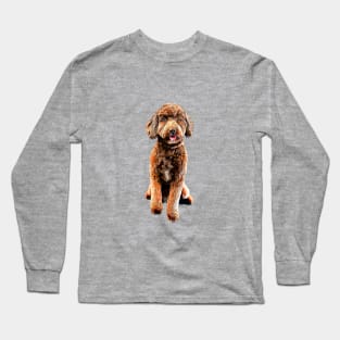 Mini Goldendoodle Doodle Dog Long Sleeve T-Shirt